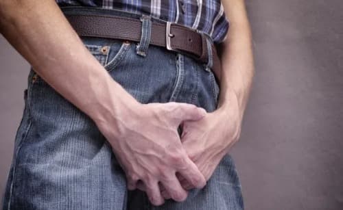 Xenopos donde comprar